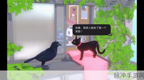 小猫咪大城市动作呸获取全攻略