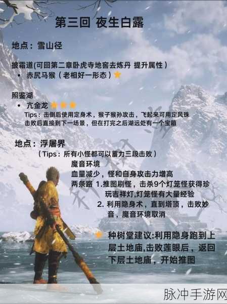 黑神话悟空第三章通关秘籍大揭秘