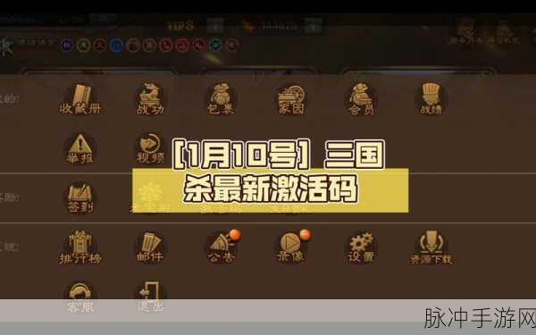 2024 三国杀 16 位激活码全揭秘