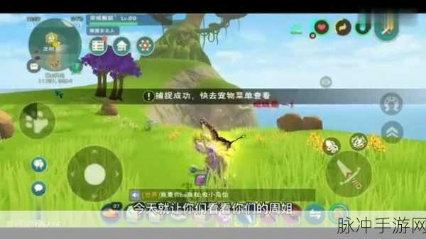 创造与魔法，祈愿灵翼融合秘籍全解