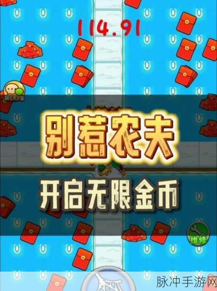 别惹农夫 2024 兑换码全攻略，解锁无限惊喜
