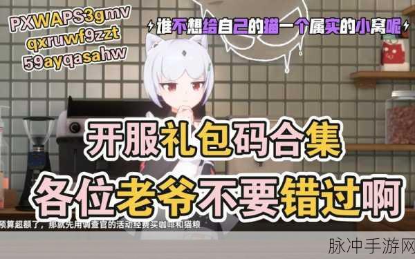猫之城兑换码大全，永久有效的神秘代码