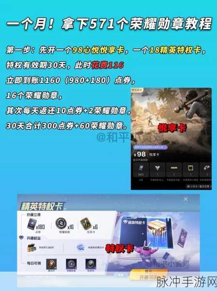 和平精英战队勋章获取全攻略