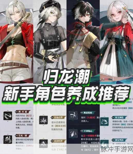 归龙潮光技能升级全攻略指南