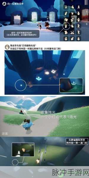 光遇 2024 烟花节代币全位置大揭秘