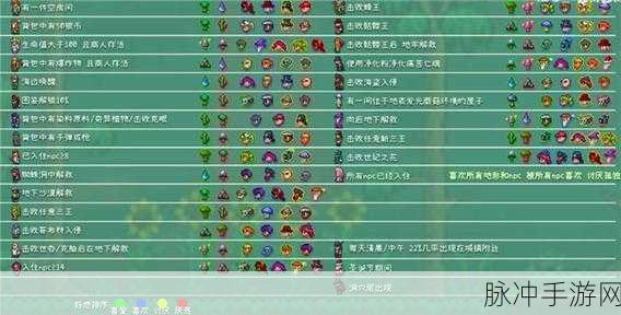 泰拉瑞亚护士入住的全方位指南