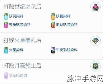 泰拉瑞亚护士入住的全方位指南