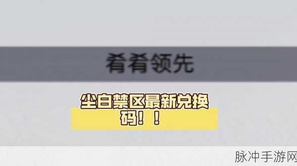 尘白禁区最新公测兑换码全攻略