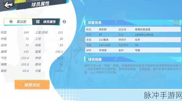 全明星街球派对维金斯潜能搭配秘籍