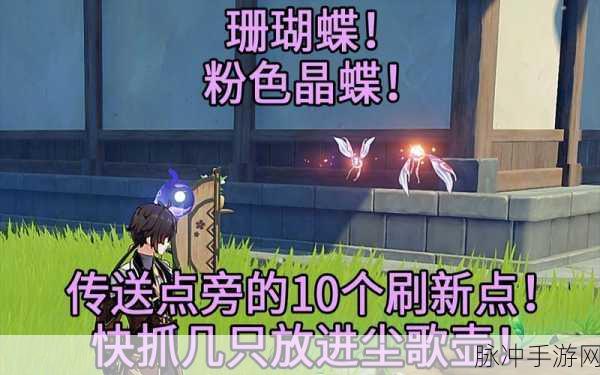 原神珊瑚蝶位置全解析 助你轻松捕捉