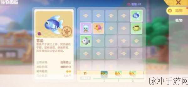 摩尔庄园手游，太空飞行器兑换全攻略