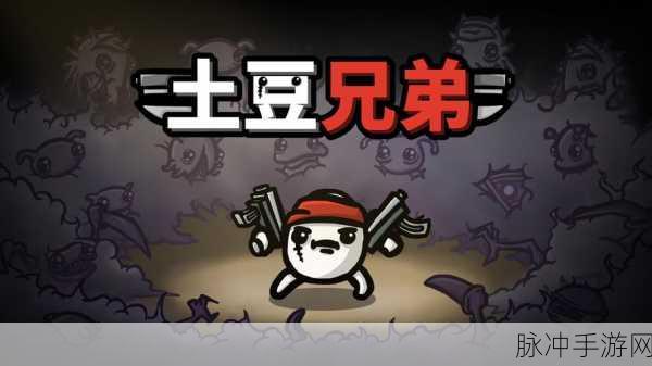 土豆兄弟，探寻最强角色的神秘力量