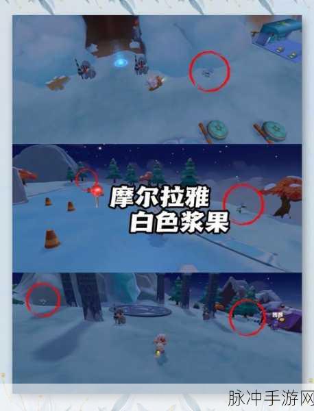 摩尔庄园手游，动物自行回仓库问题全解析及应对策略