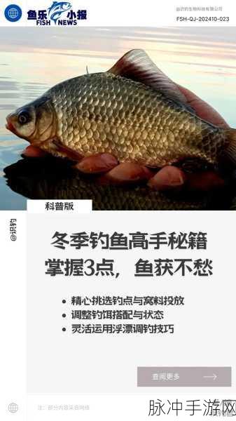 掌握黑色沙漠自动钓鱼秘籍，轻松收获满仓渔获