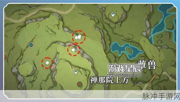 原神，灵蕈棋阵中蕈兽位置全解析攻略