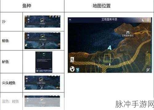 黑色沙漠手游学问知识全攻略