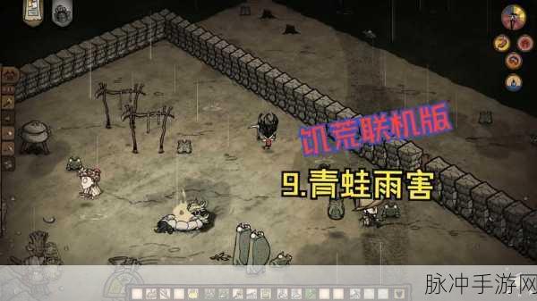 饥荒联机版酸雨危害与应对全解析