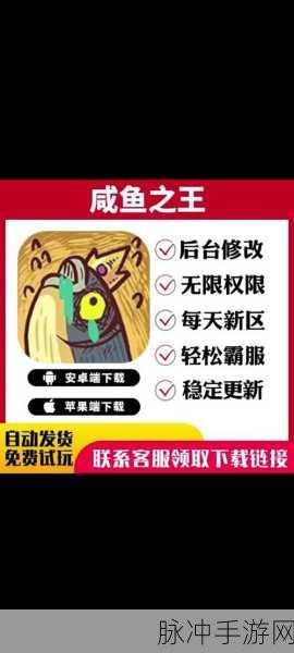 解决咸鱼之王无权限困扰的全方位指南