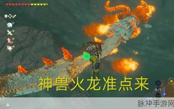 塞尔达传说，探寻巨鲸化石的秘密指南