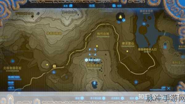 塞尔达传说，探寻巨鲸化石的秘密指南
