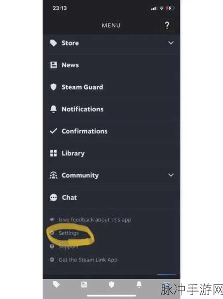 Steam 手机版中文设置全攻略