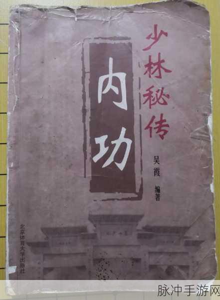 行侠仗义五千年新手必知，速通少林秘籍