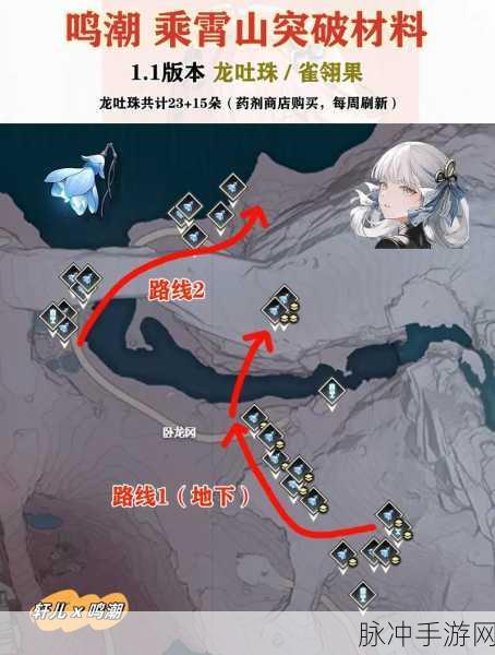鸣潮，探索雀翎果的最佳采集路径