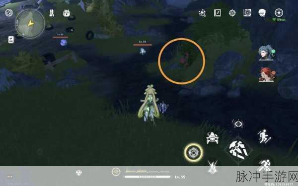 鸣潮手游灯笼果采集位置全攻略