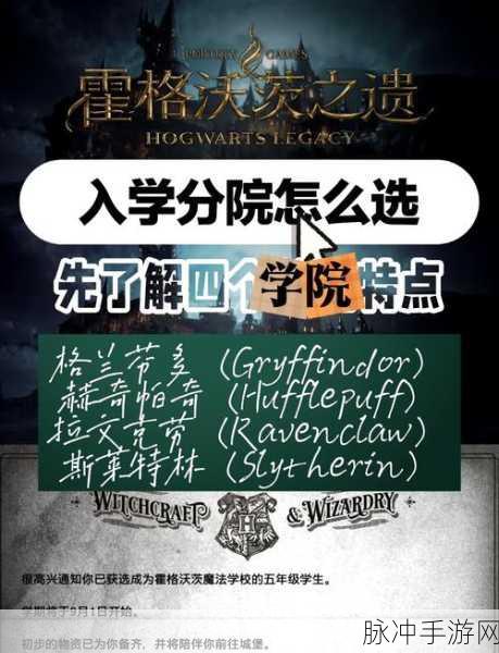 霍格沃茨之遗学院抉择指南，深入解析各学院特点