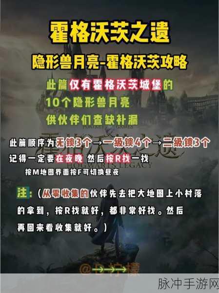 霍格沃茨之遗学院抉择指南，深入解析各学院特点