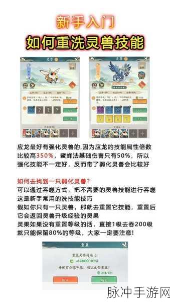 寻道大千攻略，蜜蜂的技能选择与吞噬技巧全解析