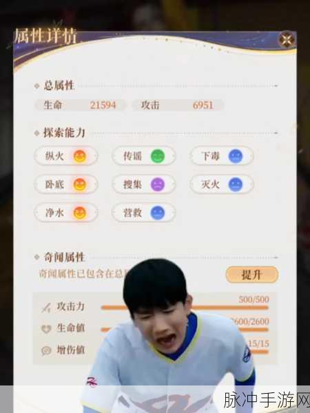 代号鸢漆园蝶最佳归属与优先级全解析
