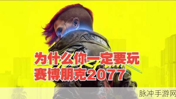 赛博朋克 2077 手游安装包大小及相关攻略