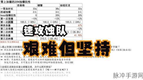 白荆回廊物理队全方位解析与指南