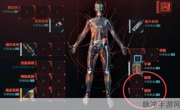 赛博朋克 2077 手游，义体医生的全方位解析