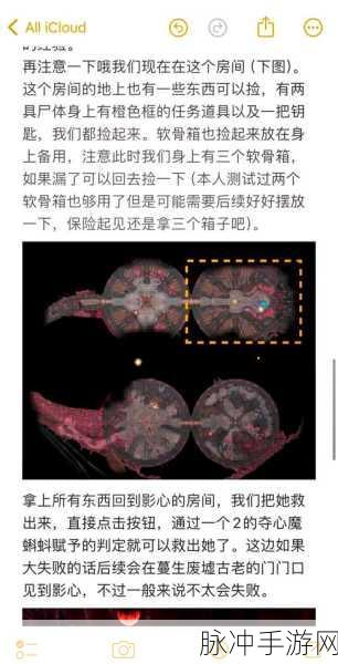 博德之门 3 职业巅峰对决，谁能称雄
