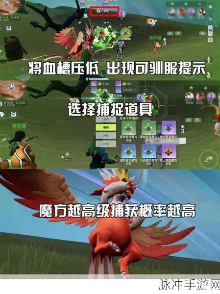 创造吧我们的星球新手开荒秘籍大公开