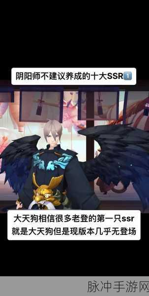 阴阳师泷夜叉姬强度剖析，2024 培养价值深度解读