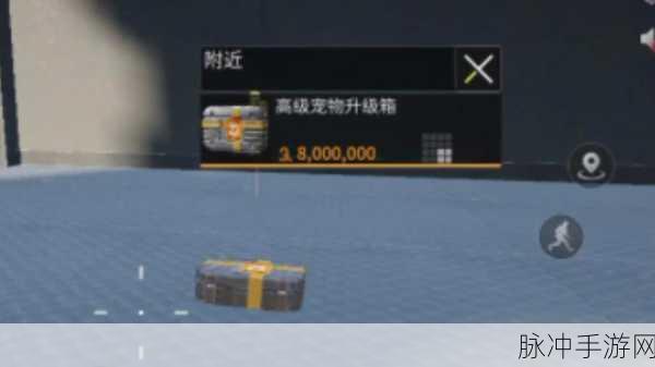 萤火突击 SS2 全新宠物大揭秘