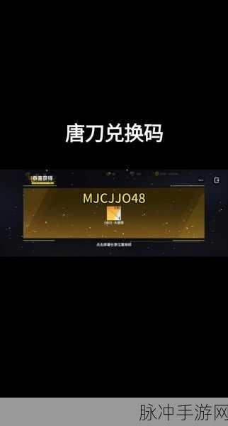 边境之旅 2024 永久衣物兑换码全攻略