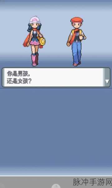 口袋怪兽钻石，打造无敌阵容秘籍