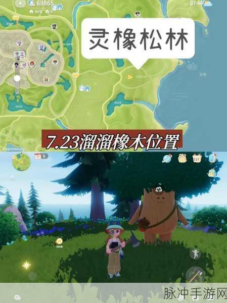 心动小镇溜溜橡木位置全解析，助你畅玩游戏