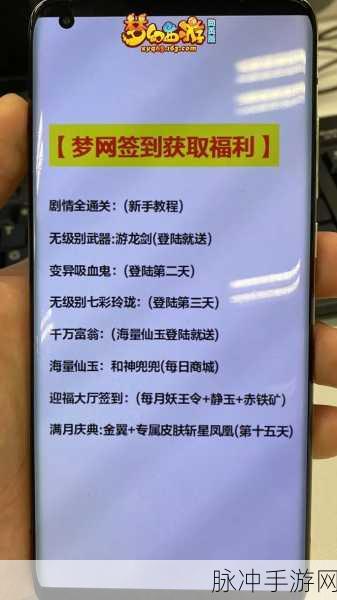 2024 梦幻驯龙记礼包码大放送与深度攻略