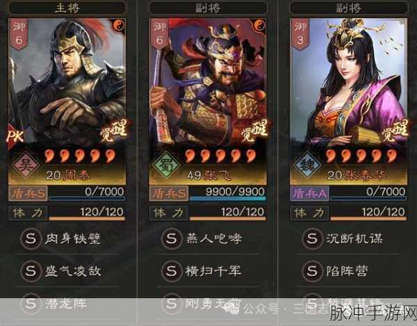 三国志战略版 S3 周泰觉醒强度深度剖析