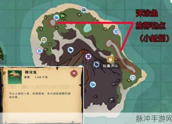 创造与魔法，钓鲍鱼秘籍大公开