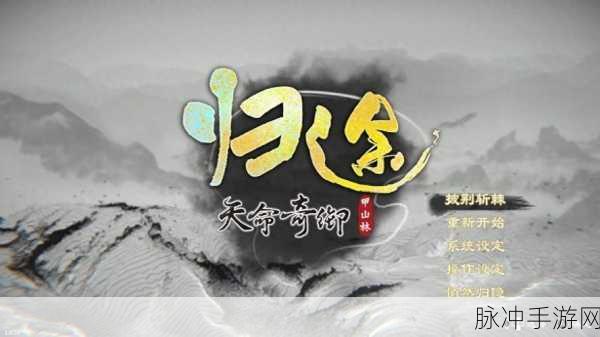 天命奇御归途存档秘籍大公开