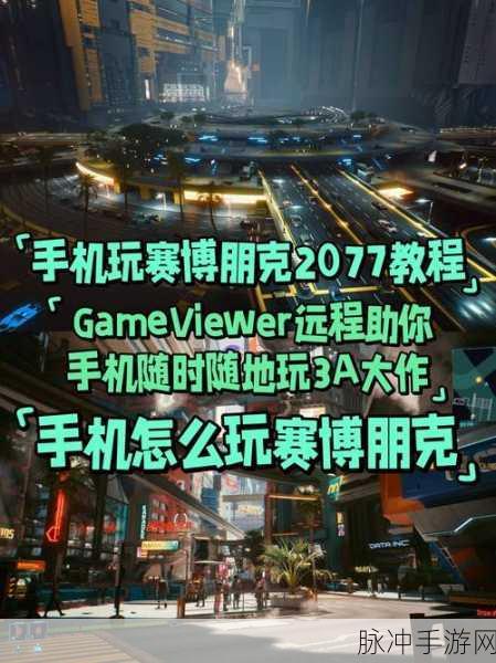 赛博朋克 2077 手游，生殖系统功能深度解析