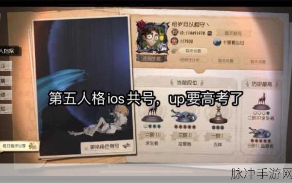 深入解读第五人格共号现象及相关攻略