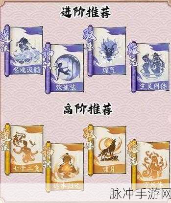 寻道大千，打造最强闪避流的精妙搭配指南