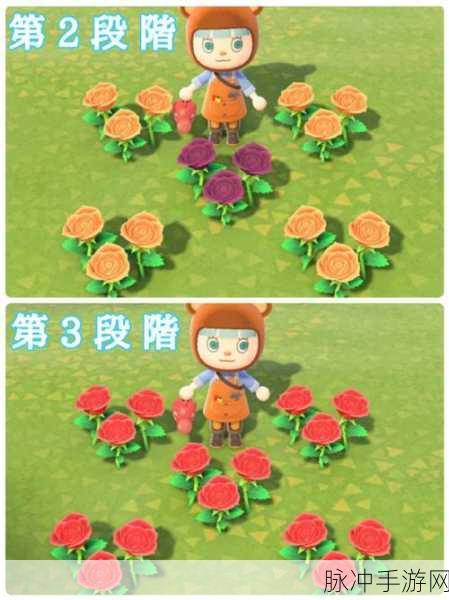 动物森友会蓝玫瑰种植全攻略